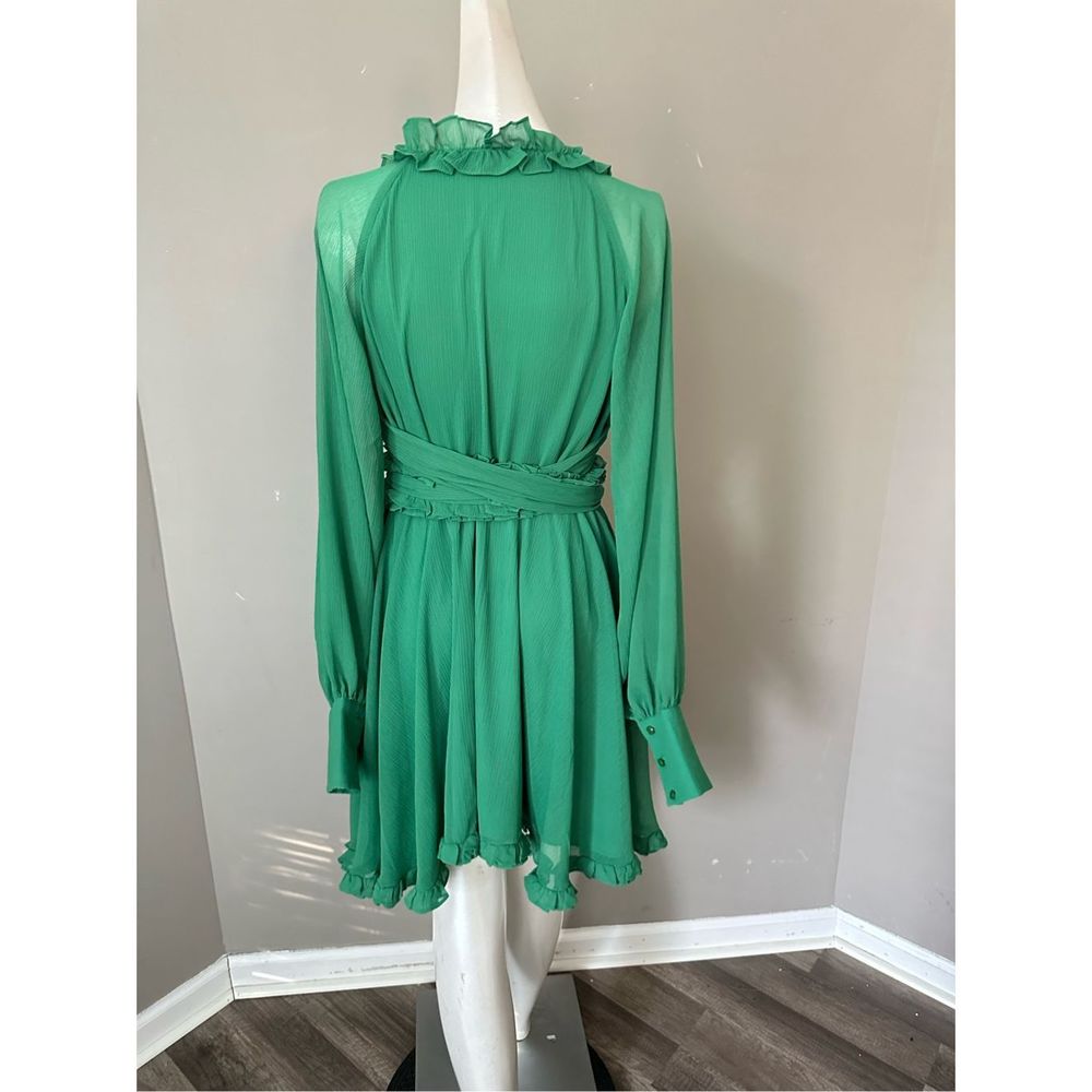 ALEXIS Ruffle-Trimmed Mini Dress - Green Size S $595 - Picture 10 of 12